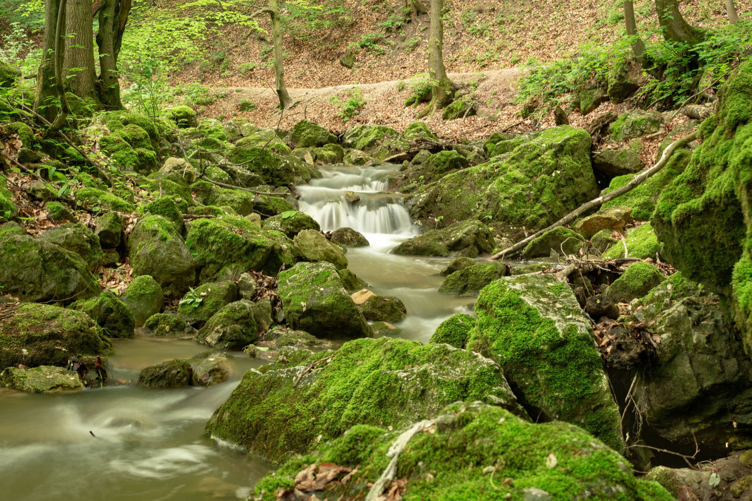 A beautiful small water stream over rocks that are overgrown with lush bright green moss